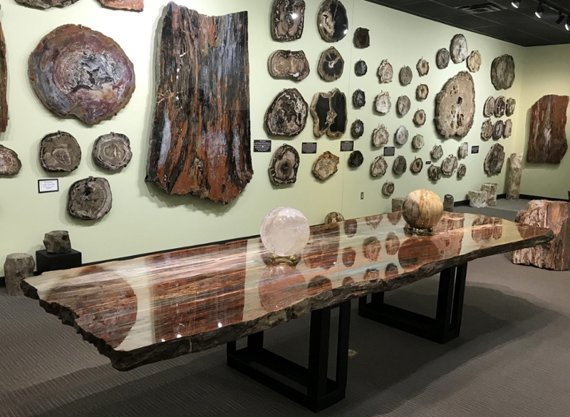 Petrified-Wood-Gallery-with-13.5-foot-long-board-Slab-Arizona-Conifer-Table-scaled.jpg