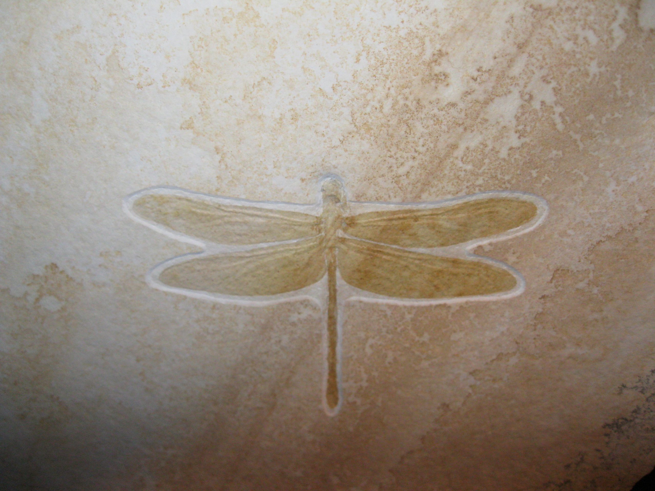 dragonfly-fossil